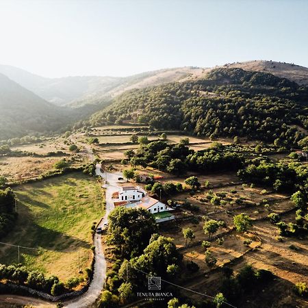 Sanza Tenuta Bianca Agriresort מראה חיצוני תמונה